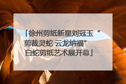 徐州剪纸新星刘冠玉“剪裁灵蛇 云龙纳福” 白蛇剪纸艺术展开幕