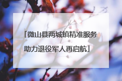 微山县两城镇精准服务助力退役军人再启航