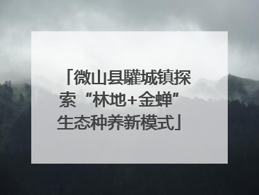 微山县驩城镇探索“林地+金蝉”生态种养新模式