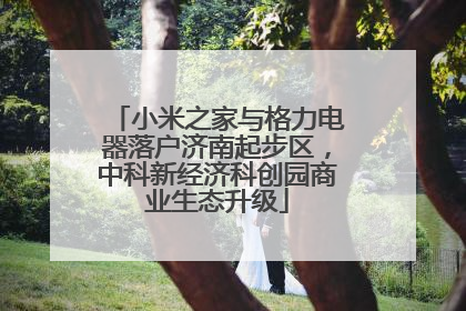 小米之家与格力电器落户济南起步区，中科新经济科创园商业生态升级