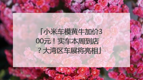 小米车模黄牛加价300元！实车本周到店？大湾区车展将亮相