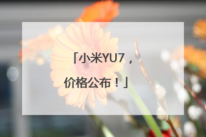 小米YU7，价格公布！