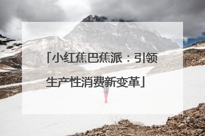 小红蕉巴蕉派：引领生产性消费新变革