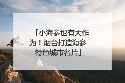 小海参也有大作为！烟台打造海参特色城市名片