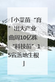 小菜苗“育”出大产业 曲周10亿株“科技苗”15省落地生根