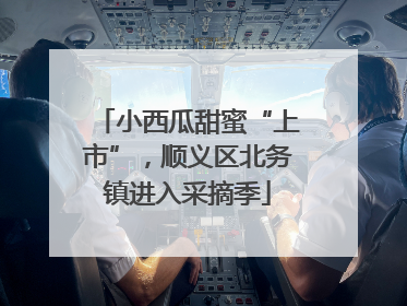 小西瓜甜蜜“上市”，顺义区北务镇进入采摘季