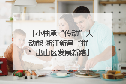 小轴承“传动”大动能 浙江新昌“拼”出山区发展新路