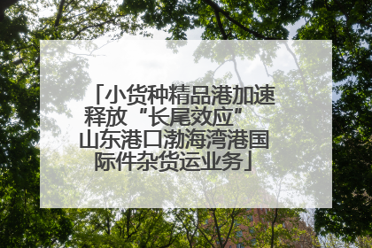 小货种精品港加速释放“长尾效应” 山东港口渤海湾港国际件杂货运业务