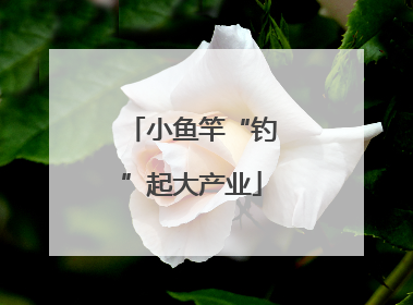 小鱼竿“钓”起大产业