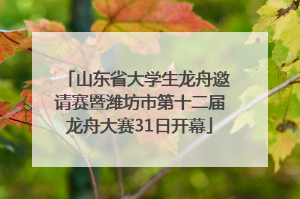 山东省大学生龙舟邀请赛暨潍坊市第十二届龙舟大赛31日开幕