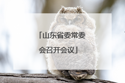 山东省委常委会召开会议