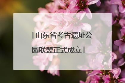 山东省考古遗址公园联盟正式成立
