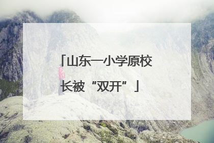 山东一小学原校长被“双开”