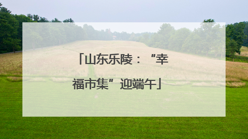 山东乐陵：“幸福市集”迎端午