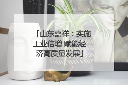 山东嘉祥：实施工业倍增 赋能经济高质量发展