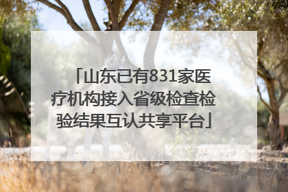 山东已有831家医疗机构接入省级检查检验结果互认共享平台