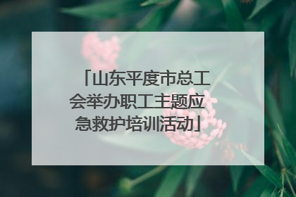 山东平度市总工会举办职工主题应急救护培训活动