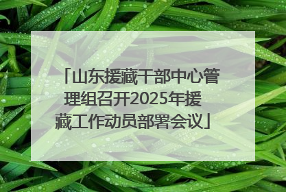山东援藏干部中心管理组召开2025年援藏工作动员部署会议