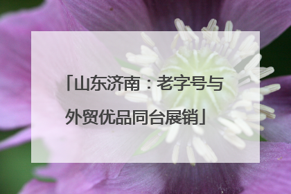 山东济南：老字号与外贸优品同台展销