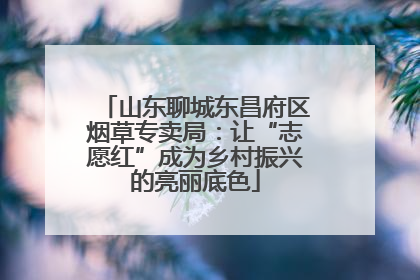 山东聊城东昌府区烟草专卖局：让“志愿红”成为乡村振兴的亮丽底色