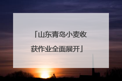 山东青岛小麦收获作业全面展开