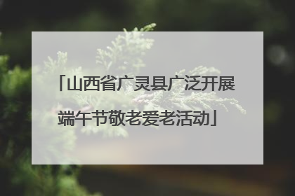 山西省广灵县广泛开展端午节敬老爱老活动