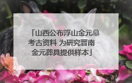 山西公布浮山金元墓考古资料 为研究晋南金元葬具提供样本
