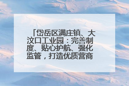 岱岳区满庄镇、大汶口工业园：完善制度、贴心护航、强化监管，打造优质营商“强磁场”