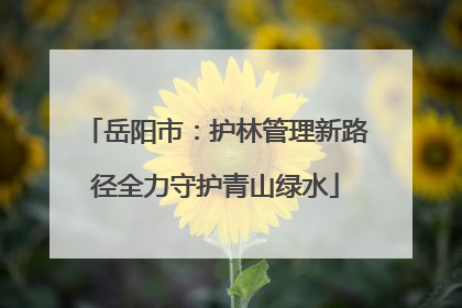 岳阳市：护林管理新路径全力守护青山绿水