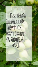 岳阳高速南江收费中心：端午温情传递暖人心