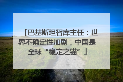 巴基斯坦智库主任：世界不确定性加剧，中国是全球“稳定之锚”