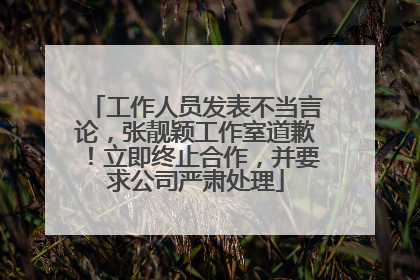 工作人员发表不当言论，张靓颖工作室道歉！立即终止合作，并要求公司严肃处理