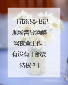市纪委书记现场督导酒醉驾夜查工作：有没有干部耍特权？