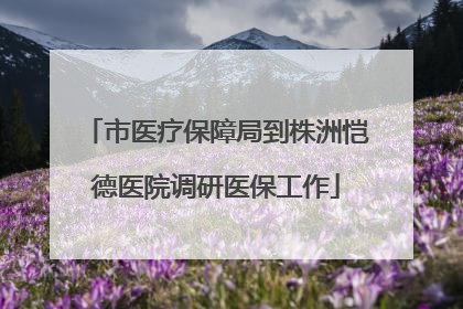 市医疗保障局到株洲恺德医院调研医保工作