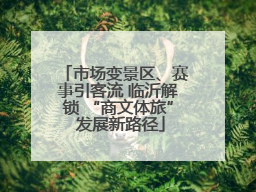 市场变景区、赛事引客流 临沂解锁 “商文体旅” 发展新路径
