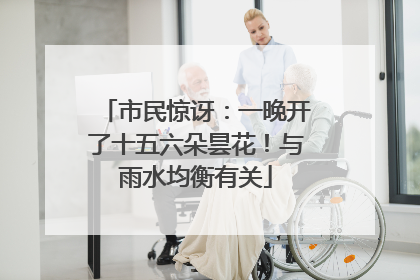 市民惊讶：一晚开了十五六朵昙花！与雨水均衡有关