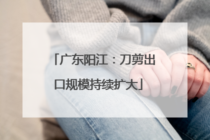 广东阳江：刀剪出口规模持续扩大