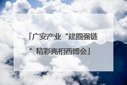 广安产业“建圈强链”精彩亮相西博会