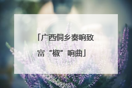 广西侗乡奏响致富“椒”响曲