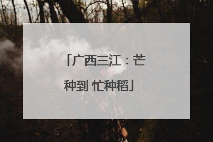 广西三江：芒种到 忙种稻