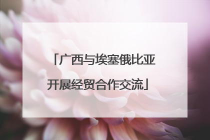 广西与埃塞俄比亚开展经贸合作交流