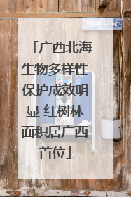广西北海生物多样性保护成效明显 红树林面积居广西首位