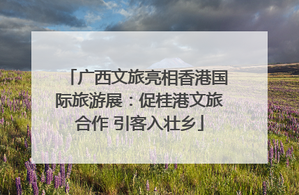 广西文旅亮相香港国际旅游展：促桂港文旅合作 引客入壮乡