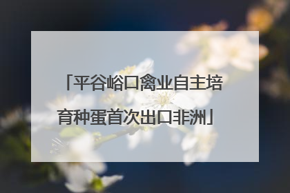 平谷峪口禽业自主培育种蛋首次出口非洲