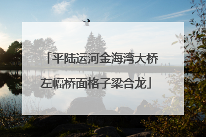 平陆运河金海湾大桥左幅桥面格子梁合龙