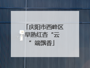 庆阳市西峰区 早熟红杏“云”端飘香