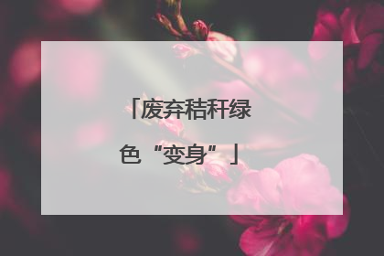 废弃秸秆绿色“变身”