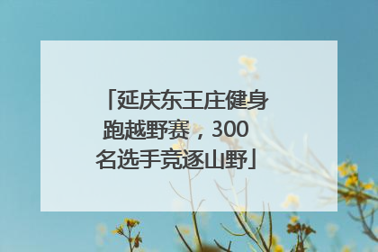 延庆东王庄健身跑越野赛，300名选手竞逐山野