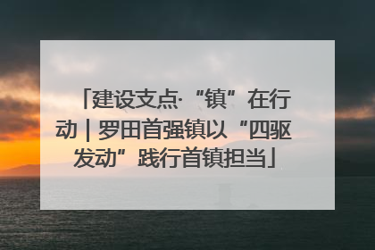 建设支点·“镇”在行动｜罗田首强镇以“四驱发动”践行首镇担当