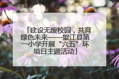 建设无废校园，共育绿色未来——望江县第一小学开展“六五”环境日主题活动